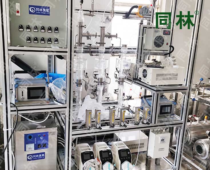同林多级臭氧催化氧化实验装置