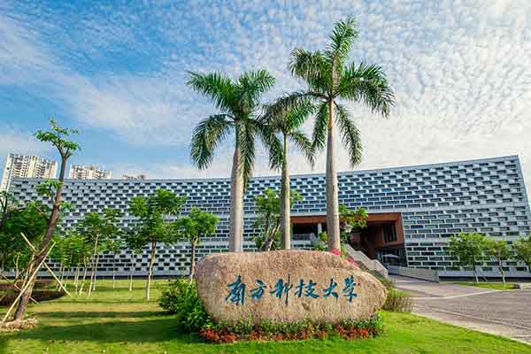 南方科技大学臭氧活性炭实验