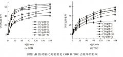 催化臭氧氧化影响因素及效果分析