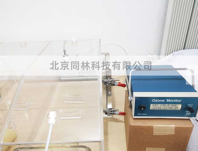 小鼠臭氧暴露对照实验方案
